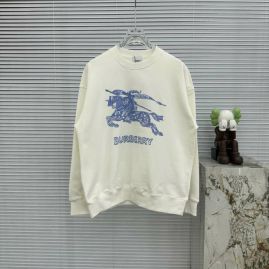 Picture of Burberry Sweatshirts _SKUBurberryS-XXLtltn5124900